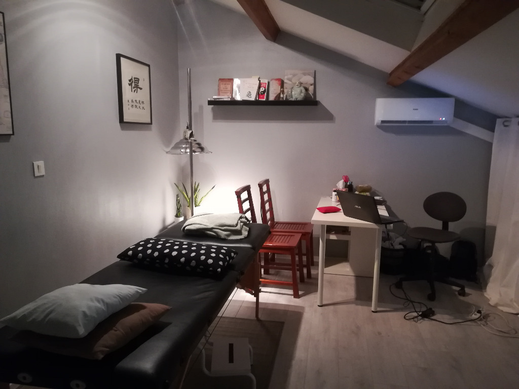 photo activite FRANCOIS NIVOLLET 