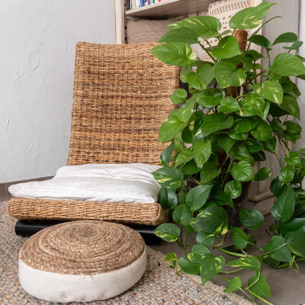 photo cabinet Coach émotionnel Let’s Shine