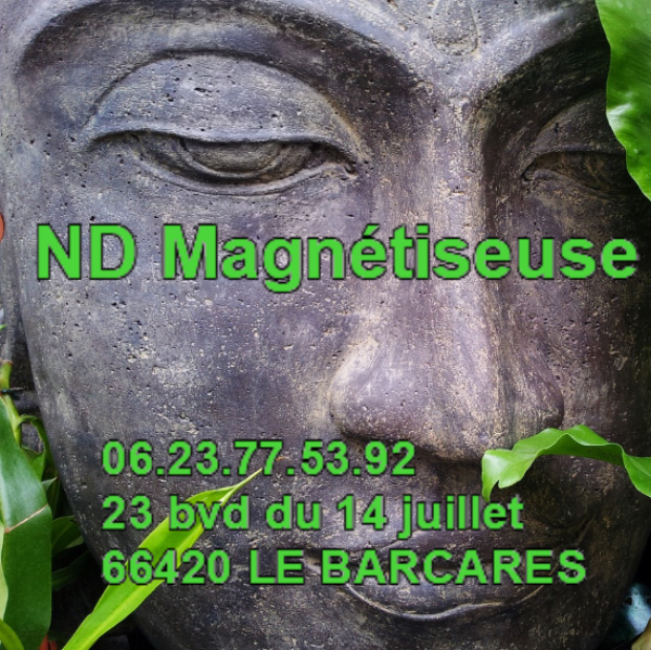 ND Magnétiseuse 