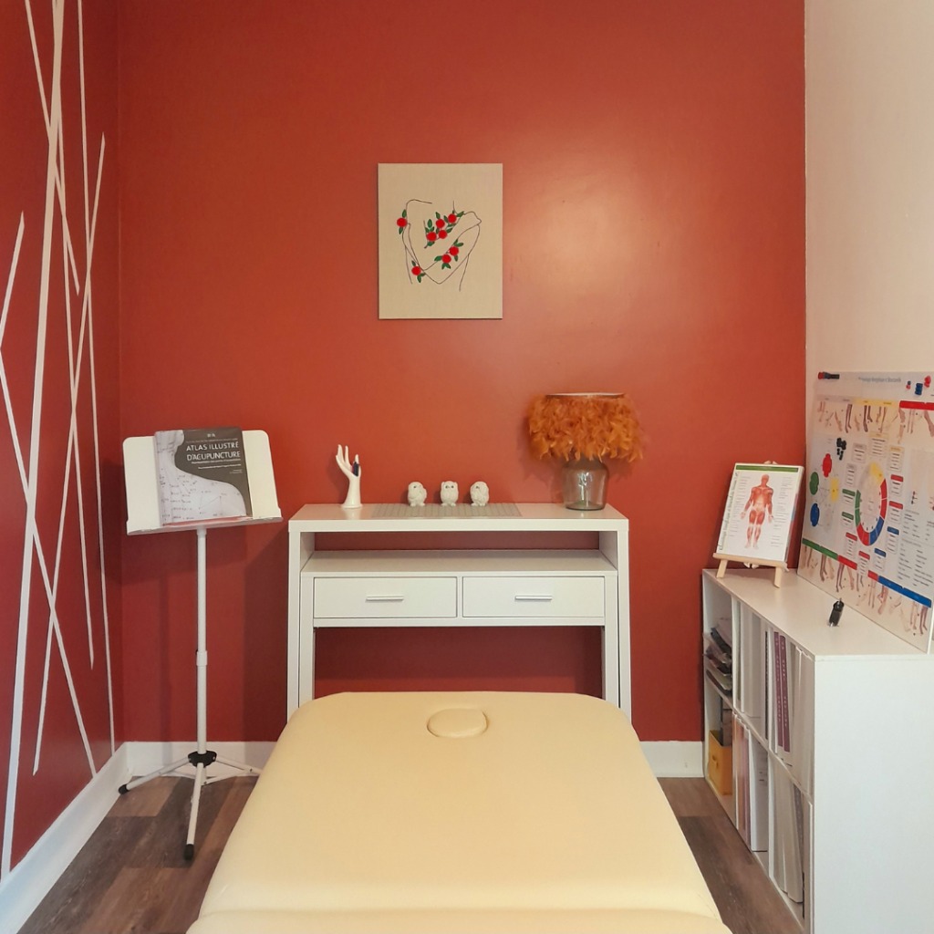 photo seance Laëtitia Issaly Kinésiologie