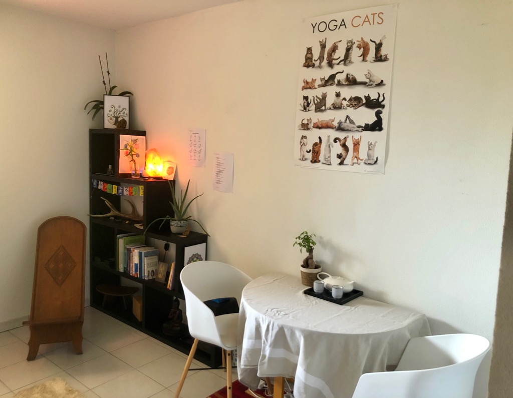 photo seance Hughes Baggio Praticien en Médecine Ayurvedique