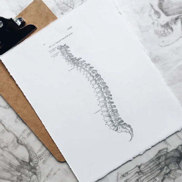 Catherine Lopes Somatopathe