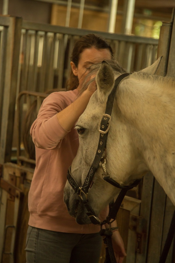 photo activite Diane Habib