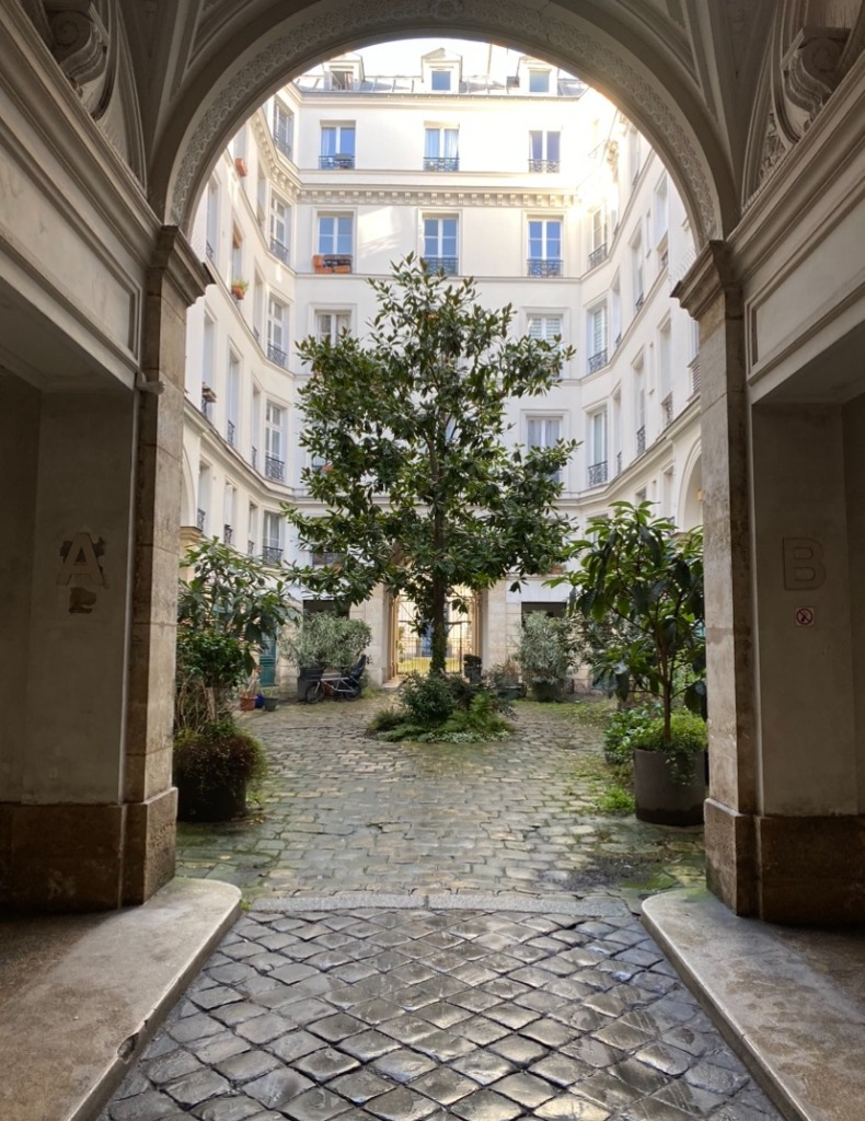 photo cabinet Diane Habib