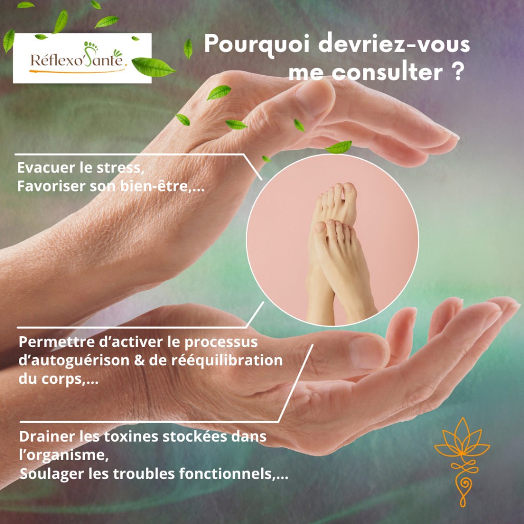 photo activite Catherine LEPORT