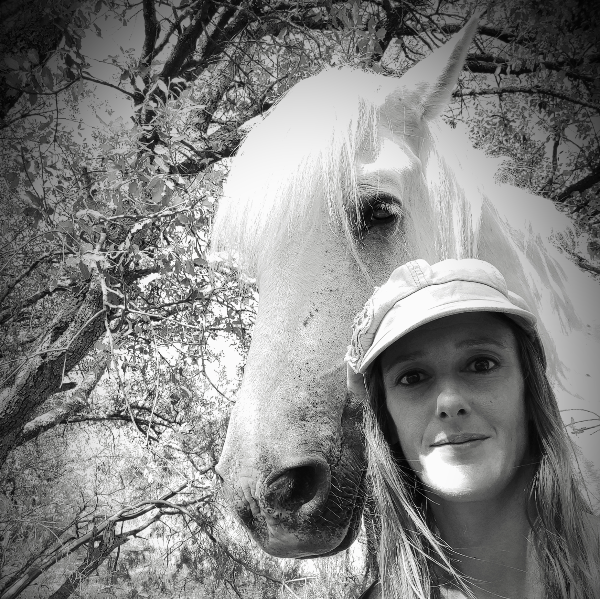 Happy Liens - Médiation Equine