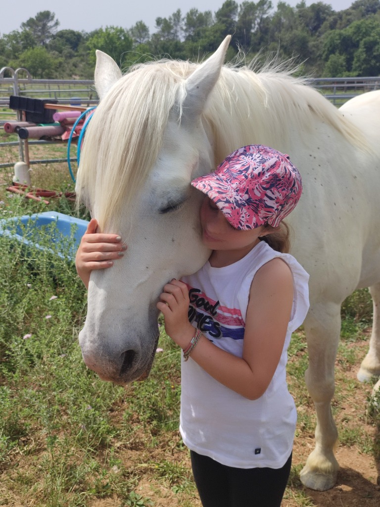 photo portrait Happy Liens - Médiation Equine