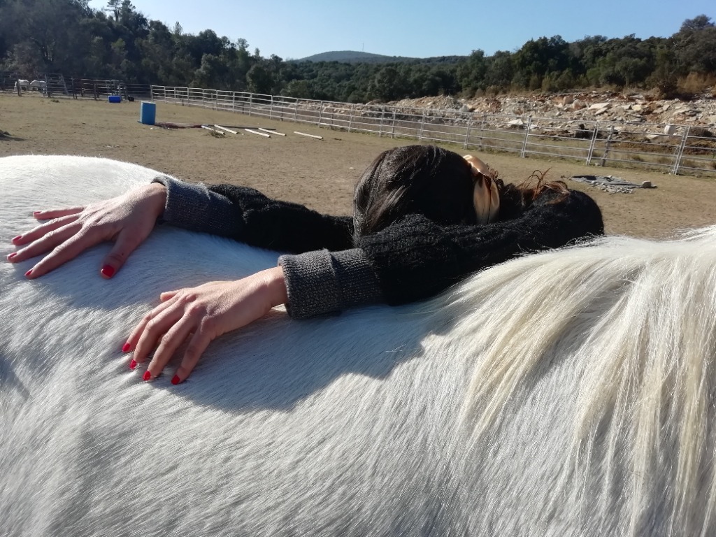 photo seance Happy Liens - Médiation Equine