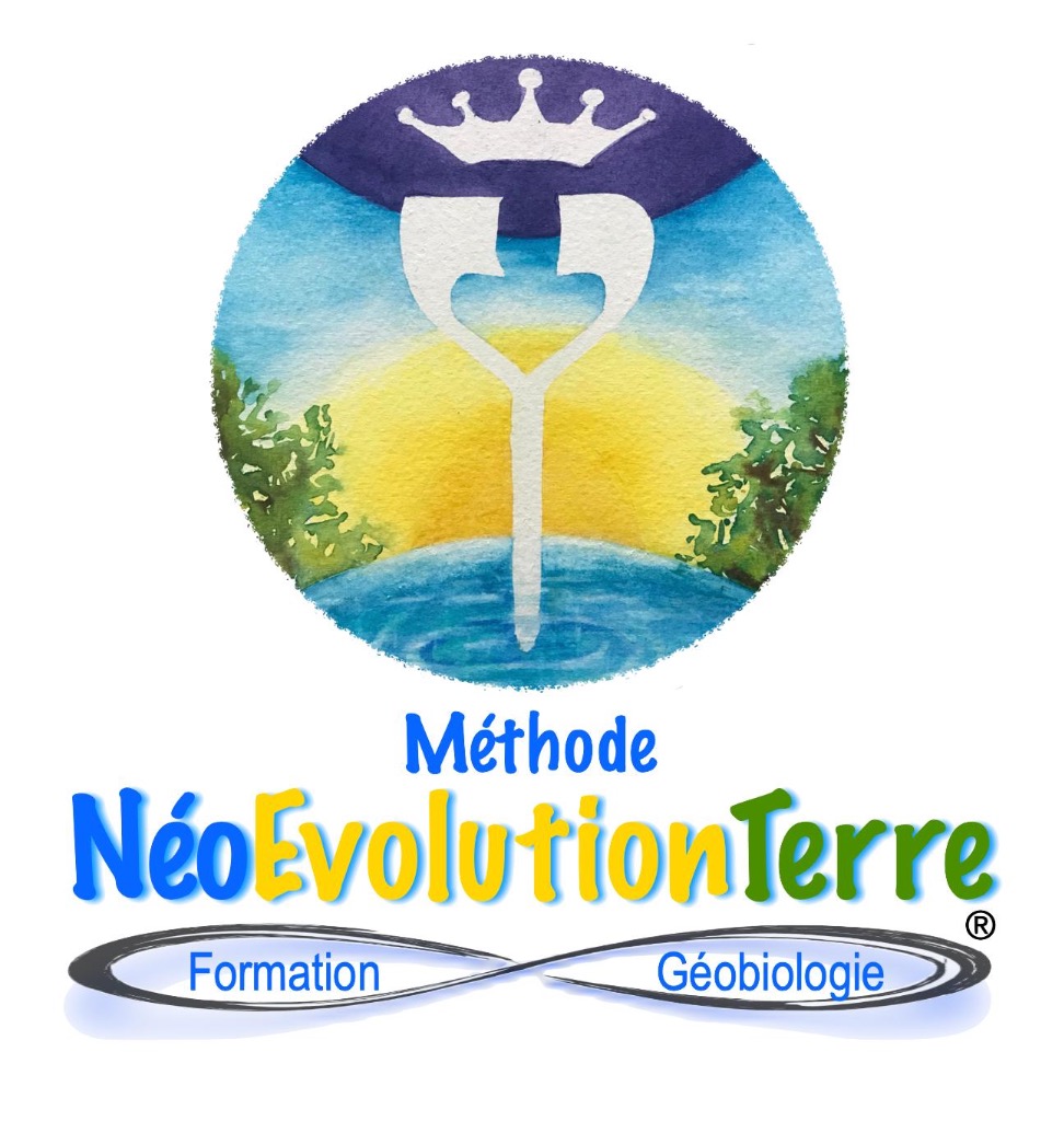 photo activite  Fioux-Géobiologie méthode NéoÉvolutionTerre 