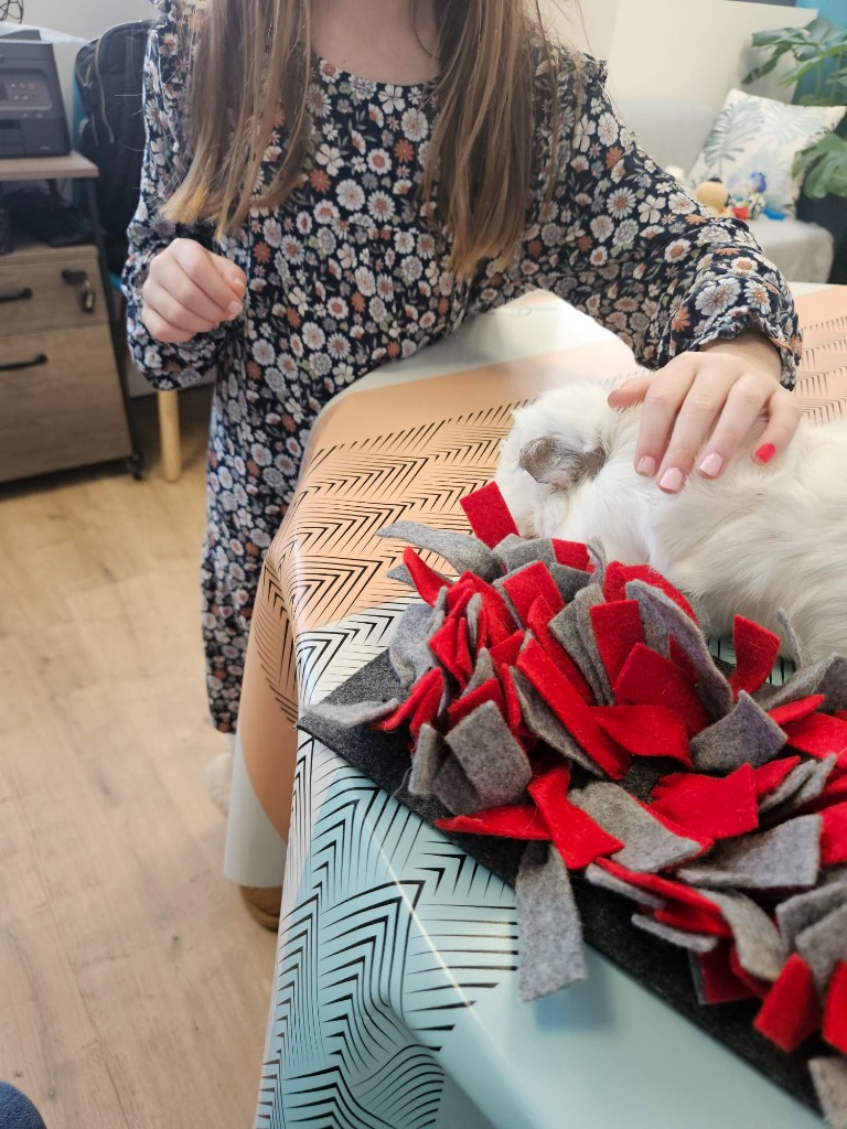 photo activite Isabelle GONNIN