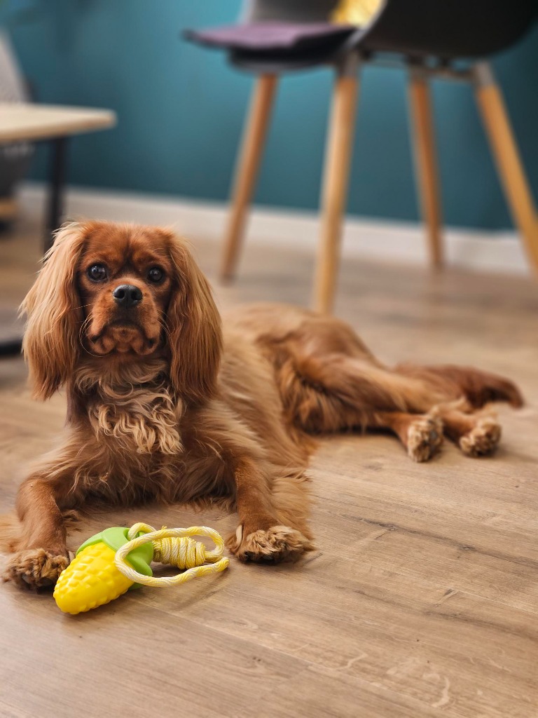 photo cabinet Isabelle GONNIN