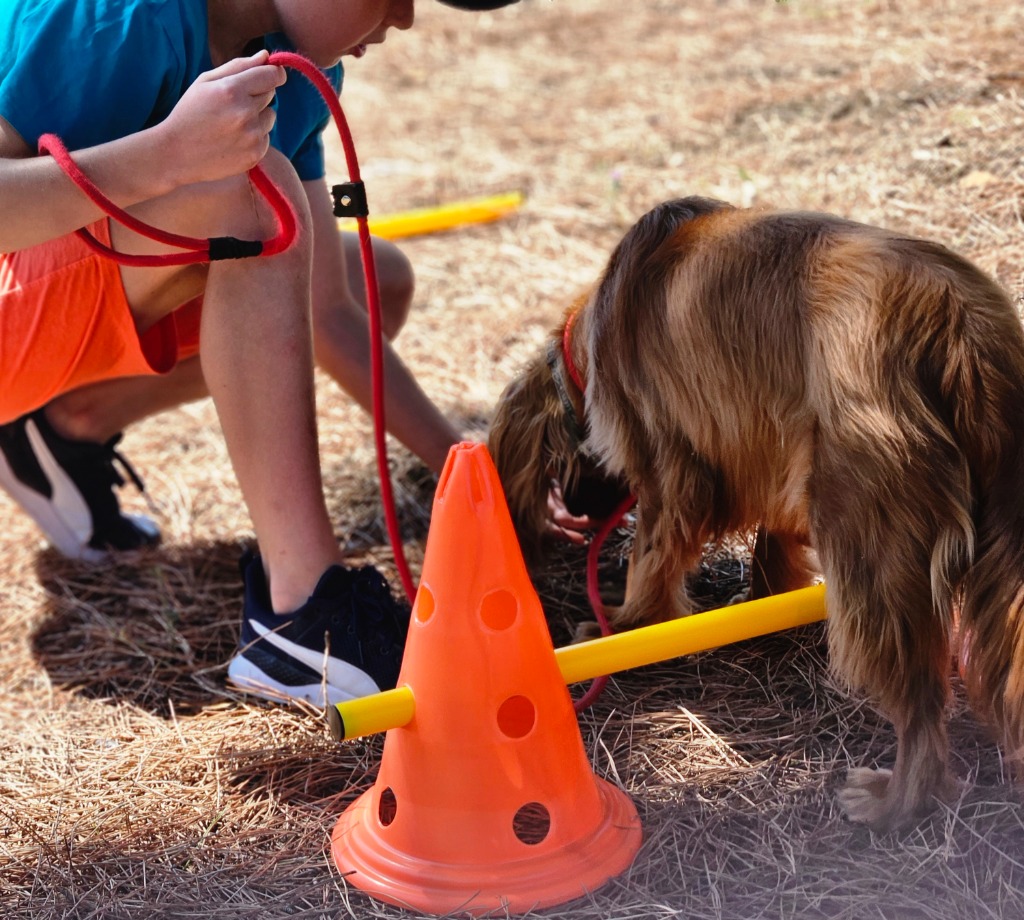 photo seance Isabelle GONNIN