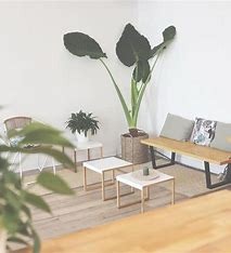 photo diplome Aurélie Alquier Vaneck