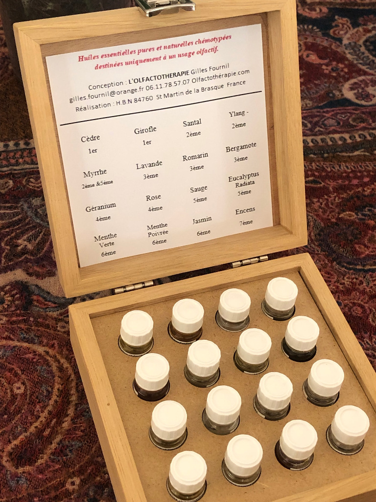 photo activite Sandra Ploquin Coaching