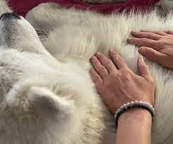 photo activite Eveil et Sens - Soupizon Jessica