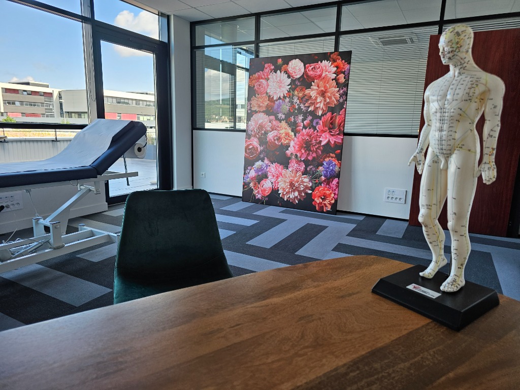 photo cabinet Centre de luxopuncture du Zénith