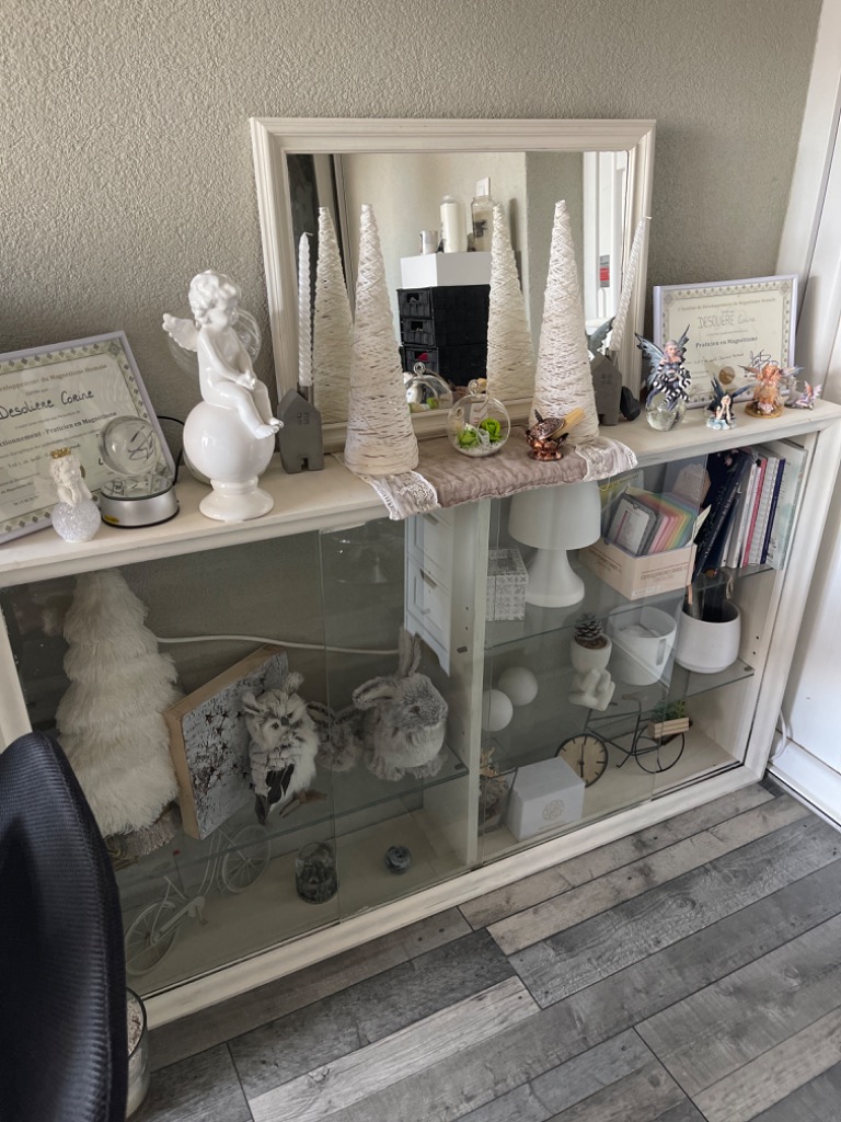 photo cabinet CORINE DESOLIERE