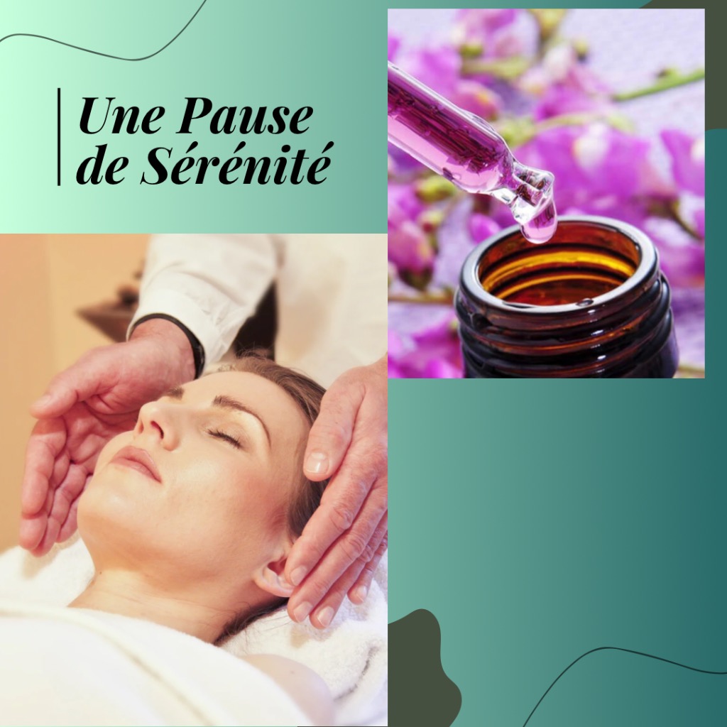 photo activite Nicole Desti