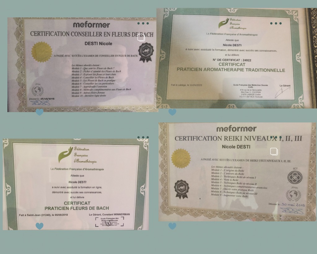photo diplome Nicole Desti