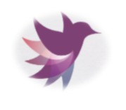 photo activite Valli Siva Kinésiologue