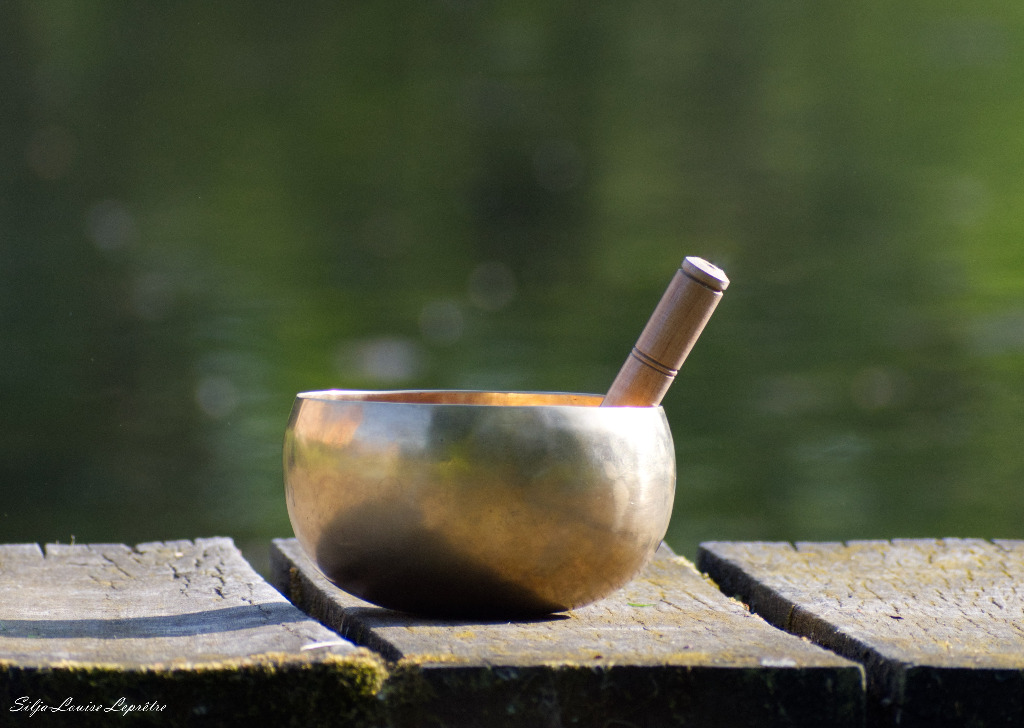 photo activite Line Lefebvre