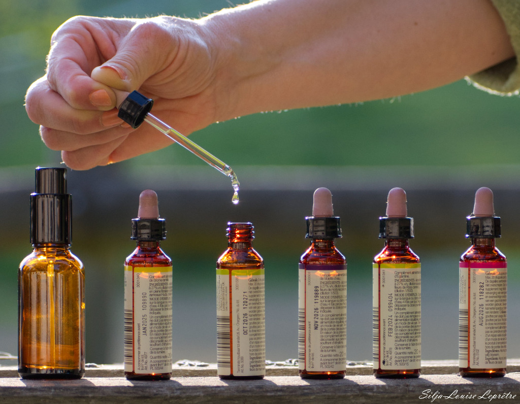 photo seance Line Lefebvre