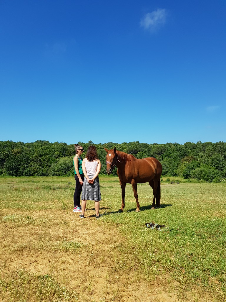 photo activite Sabine CHAMPETIER