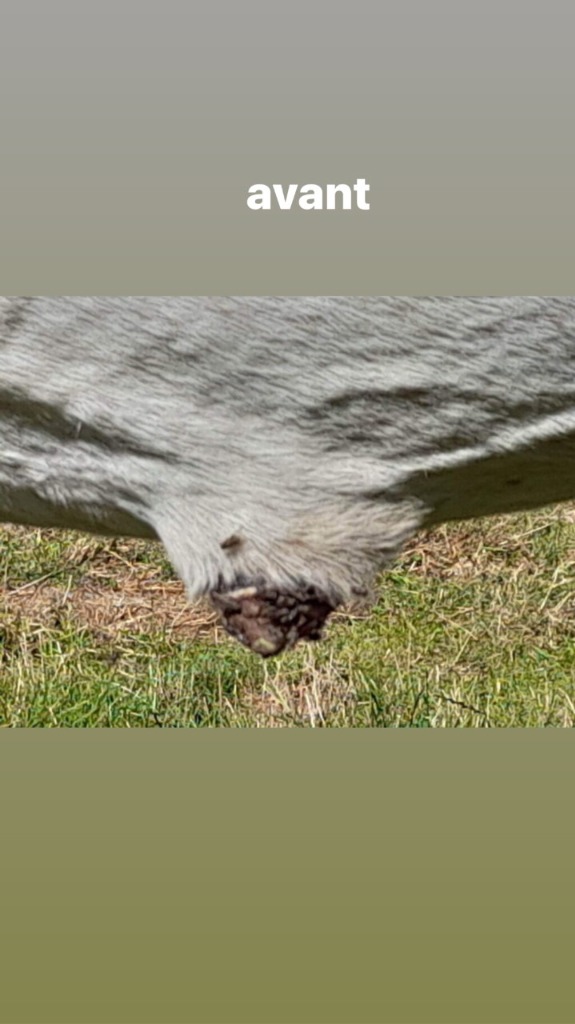 photo activite Marion Magnétisme