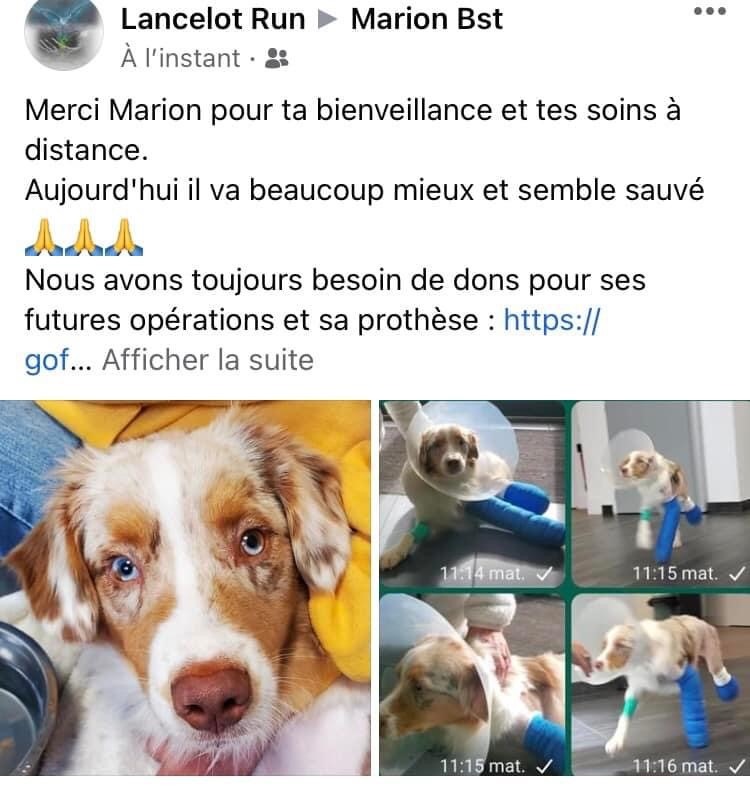 photo seance Marion Magnétisme Soins A Distance