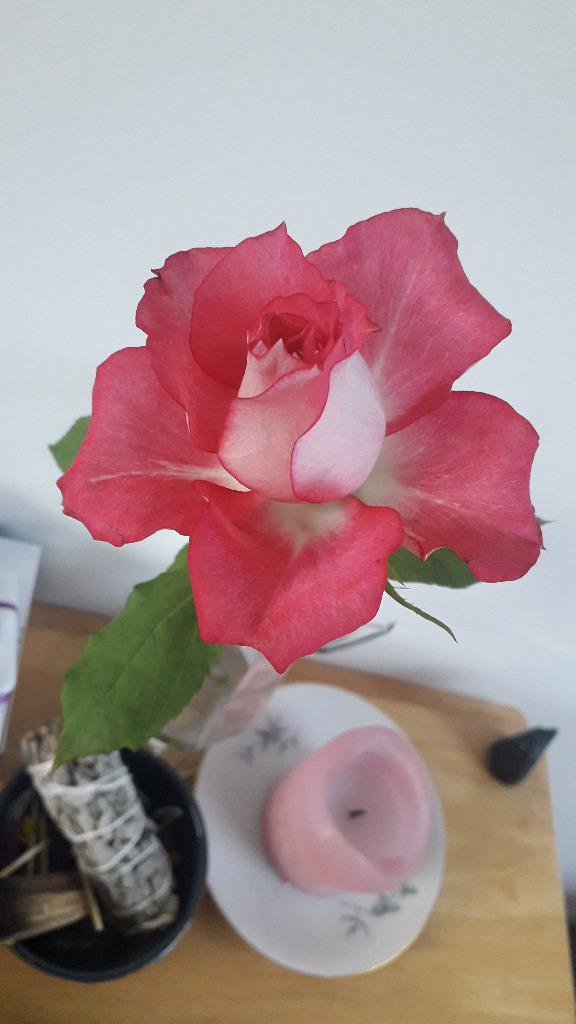 photo portrait Emilie Caron