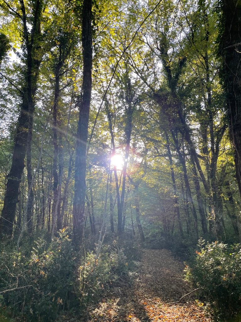 photo portrait Thémo Reïki 