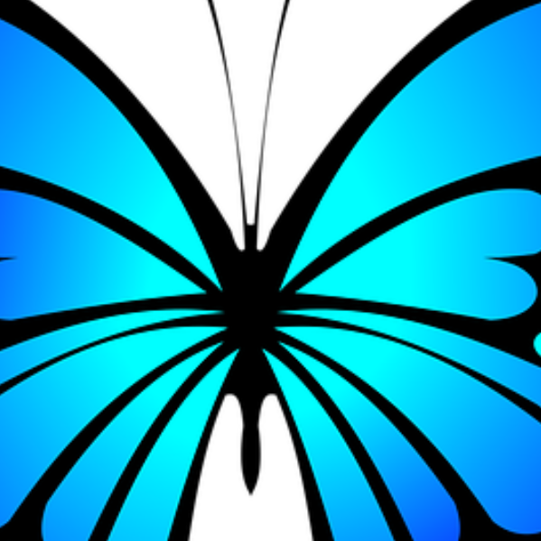 Cabinet Métamorphose Elodie Dricci 