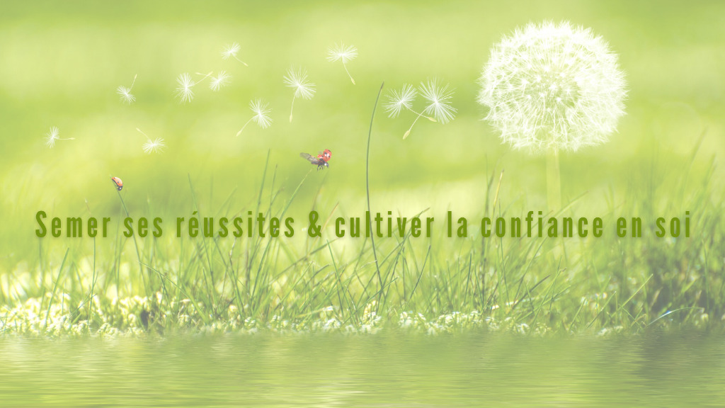 photo activite RêvL’Toi - Sabine GUILLET LAMY