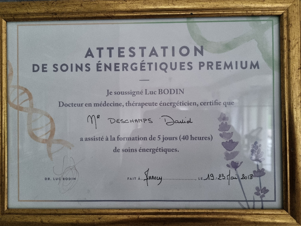 photo diplome David Deschamps