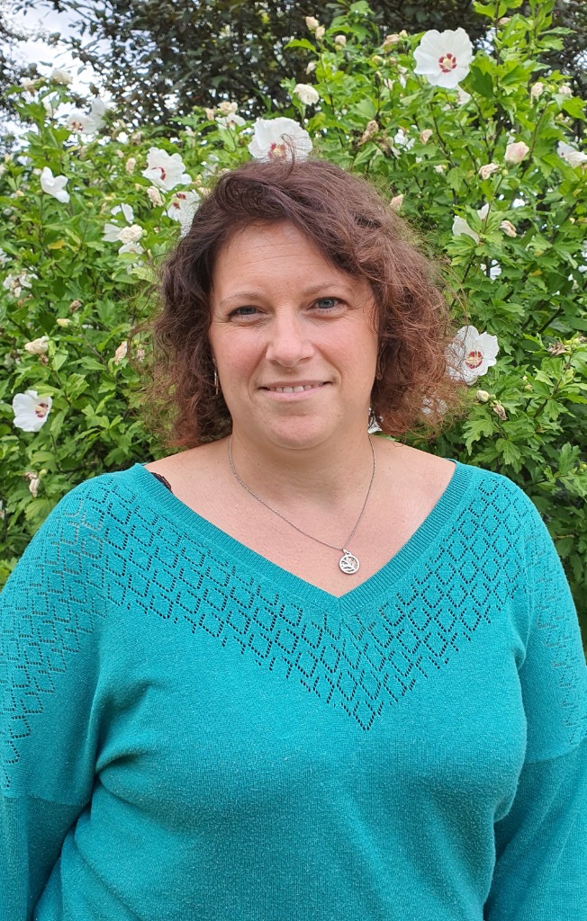 photo activite Chrysalides conseils