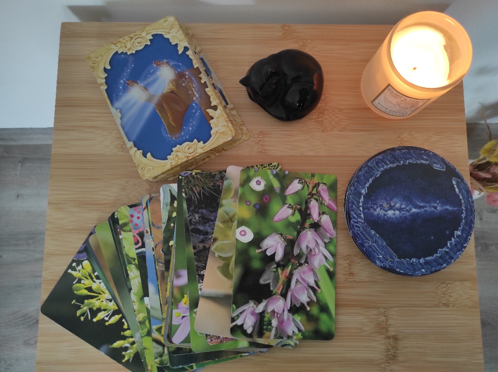 photo portrait Maryline ROSE