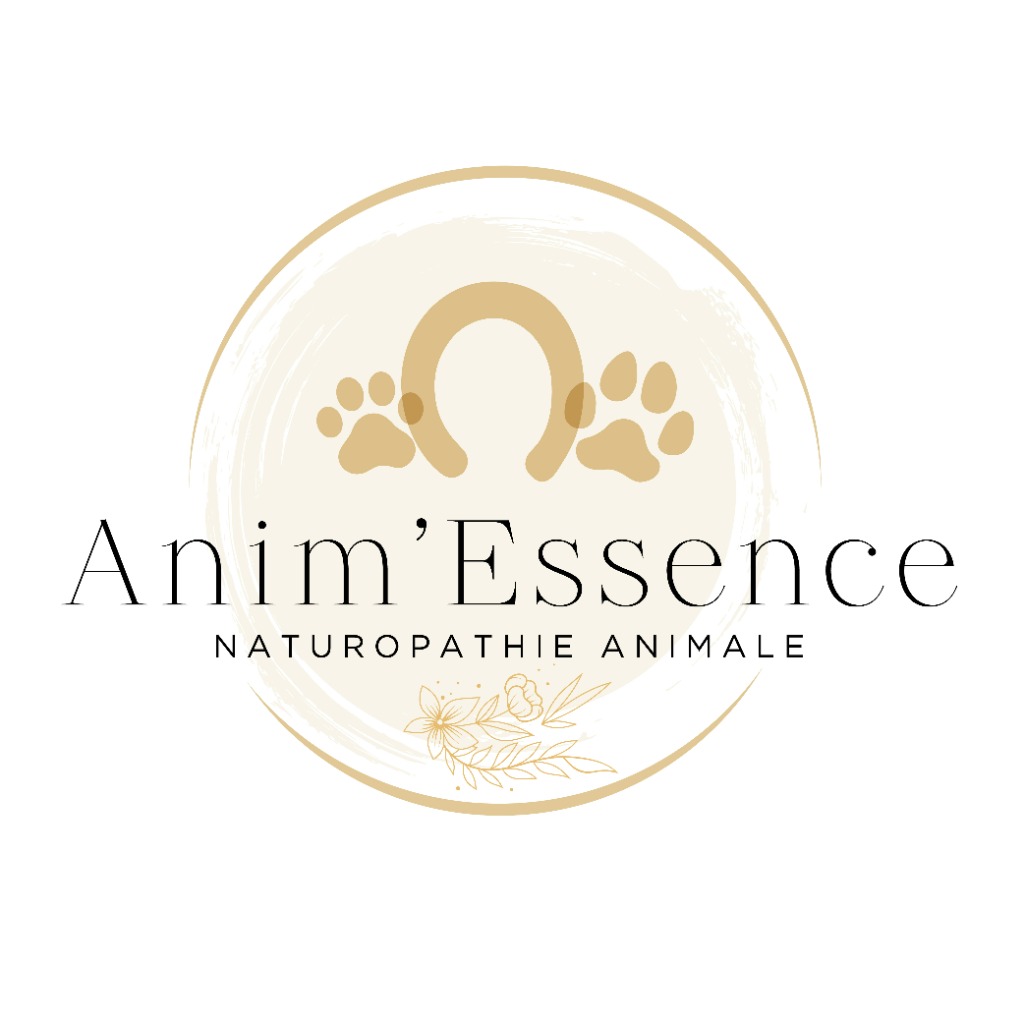 photo cabinet Pin Aurelie