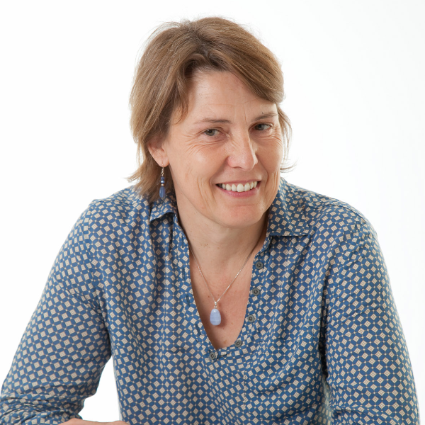 Les sens de l’arbre