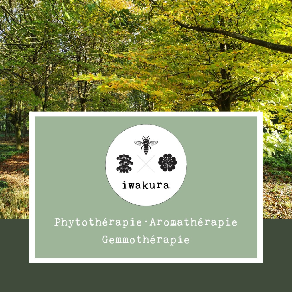 photo portrait BOUQUILLION Arnaud