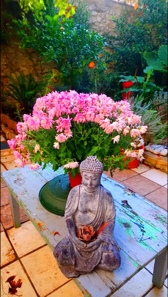 photo diplome Marcellin magnétiseur - GRATUIT-