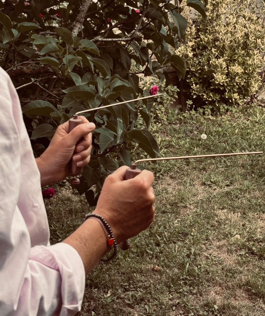 photo activite Terra Concordia