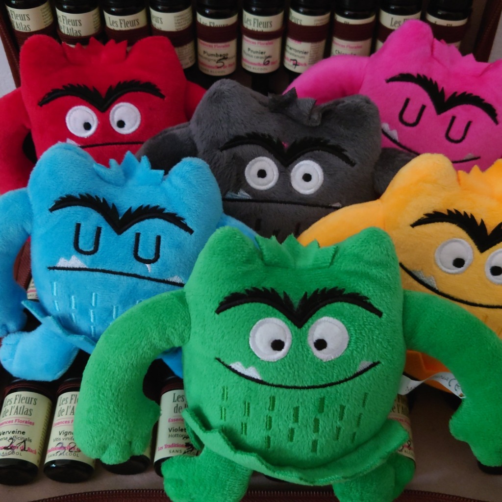 photo activite Sandra Dato