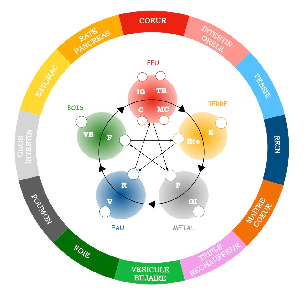 photo activite Anne-Sophie Daudon Kinésiologie