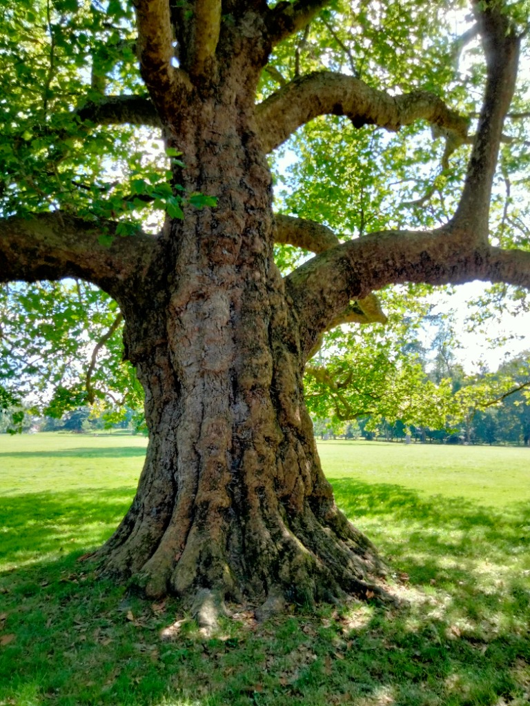 photo cabinet Aude Bourdy - Pérambule