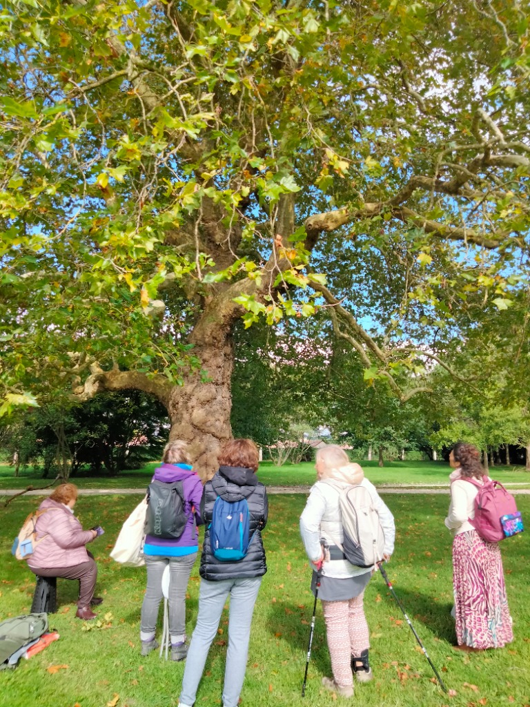 photo seance Aude Bourdy - Pérambule