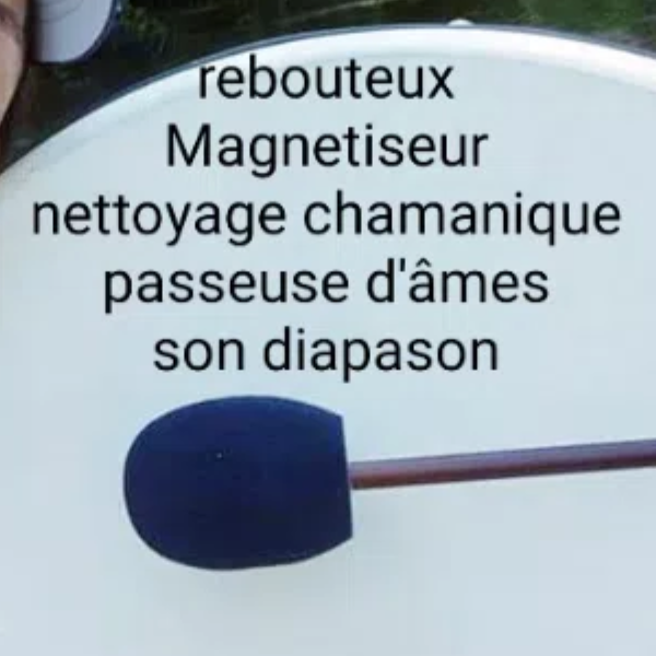 Rebouteux Magnetiseur 