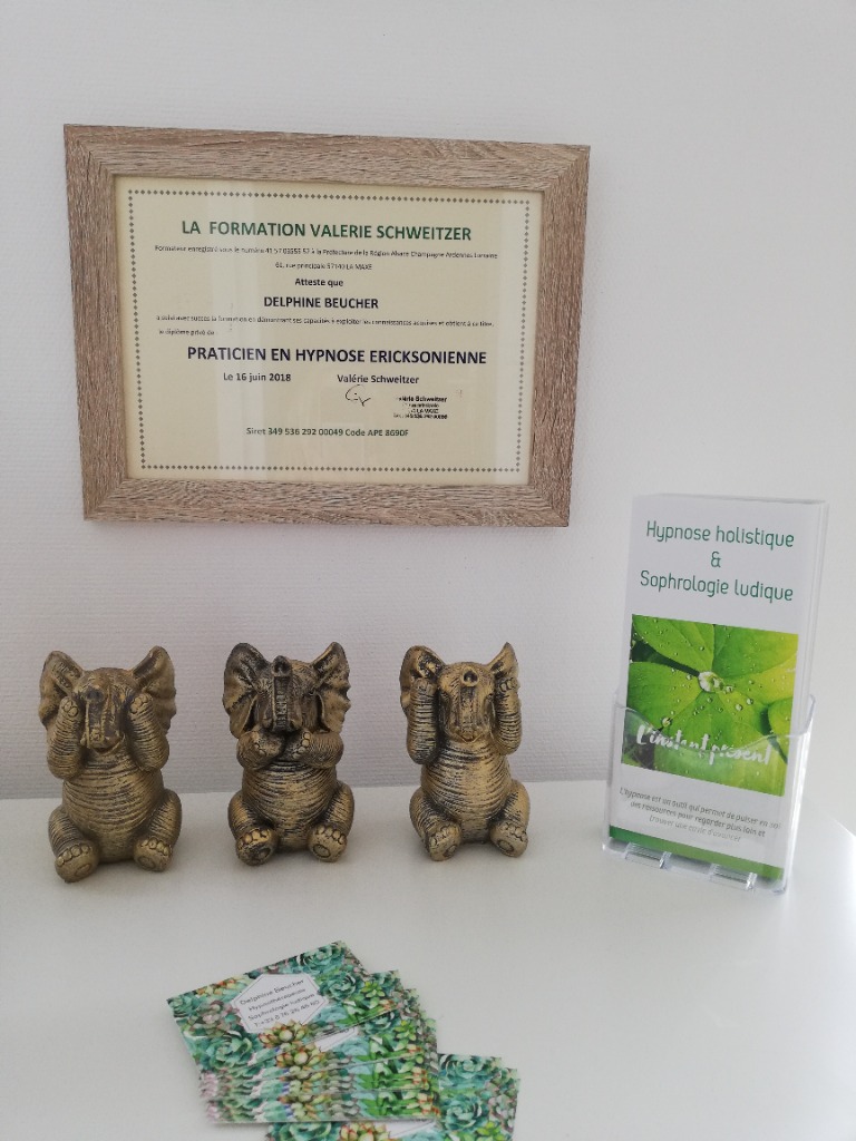 photo diplome Beucher Delphine "l’Instant présent"