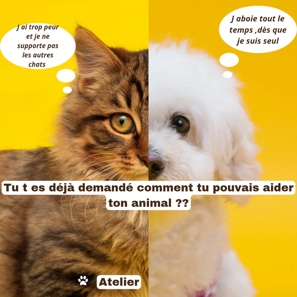 photo activite Elise Yucel