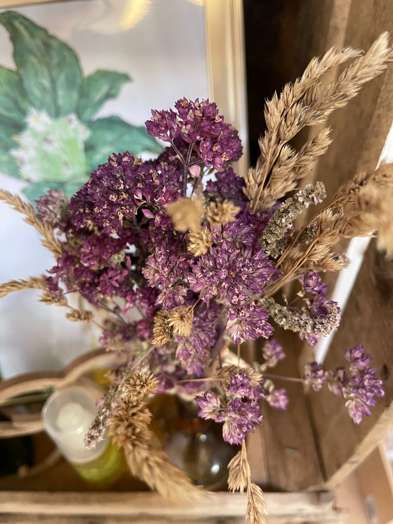 photo cabinet Chez Camomille