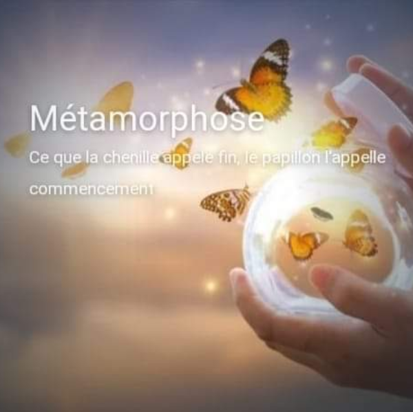 Métamorphose Soins énergétiques